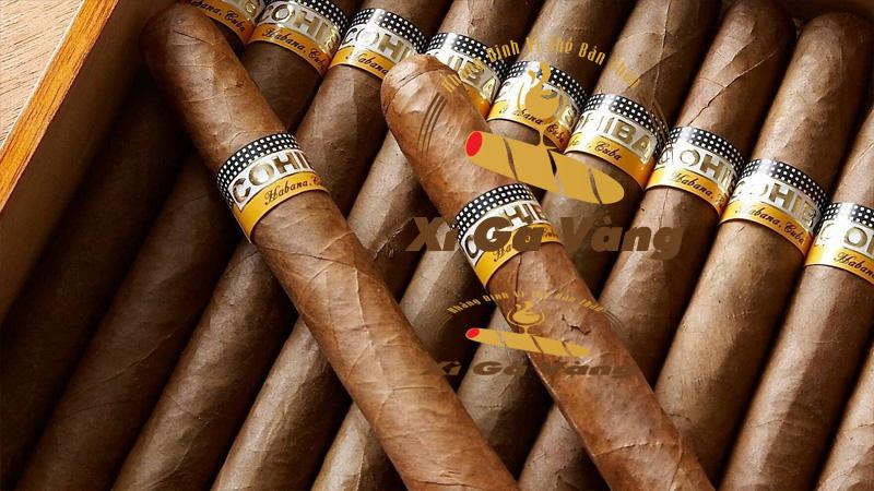 Sản phẩm xì gà Cohiba Siglo dạng số 1